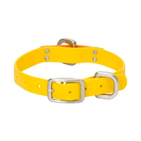 West Paw Jaunts Collar *Clearance* West Paw Jaunts Collar *Clearance*
